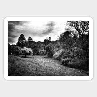 Landscape In Black And White Sticker